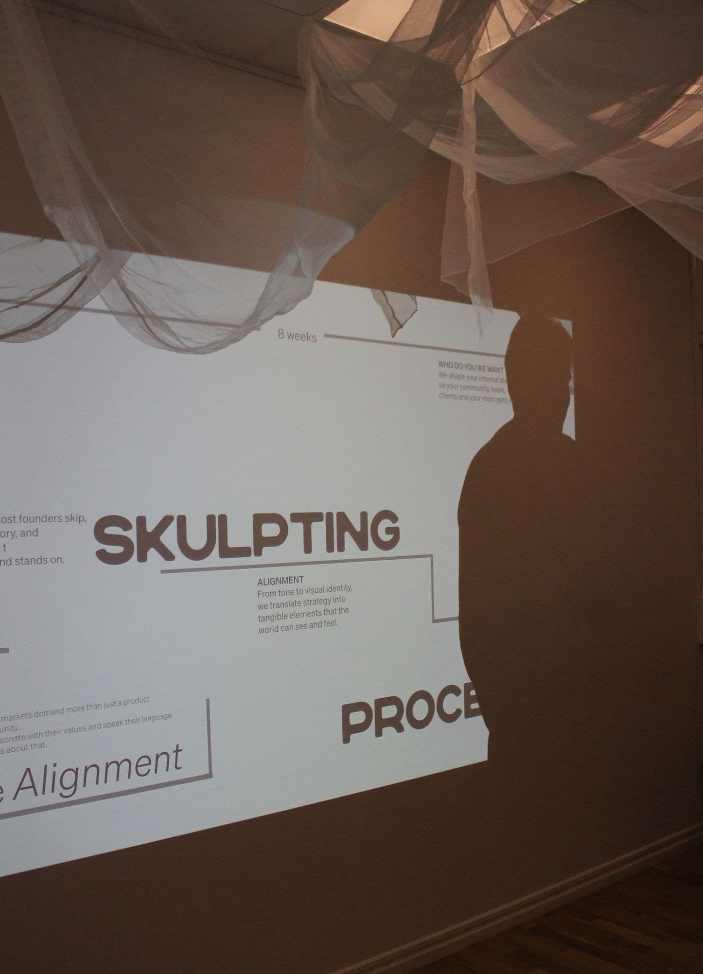 The Skulpting Process projected on a wall under draped fabric
