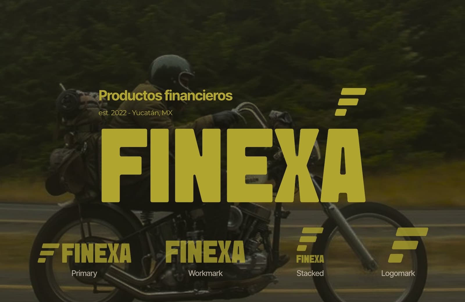Finexa logo versions: primary, wordmark, stacked and logomark